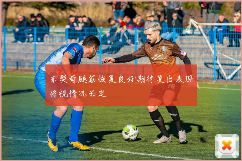 东契奇腿筋恢复良好期待复出表现将视情况而定